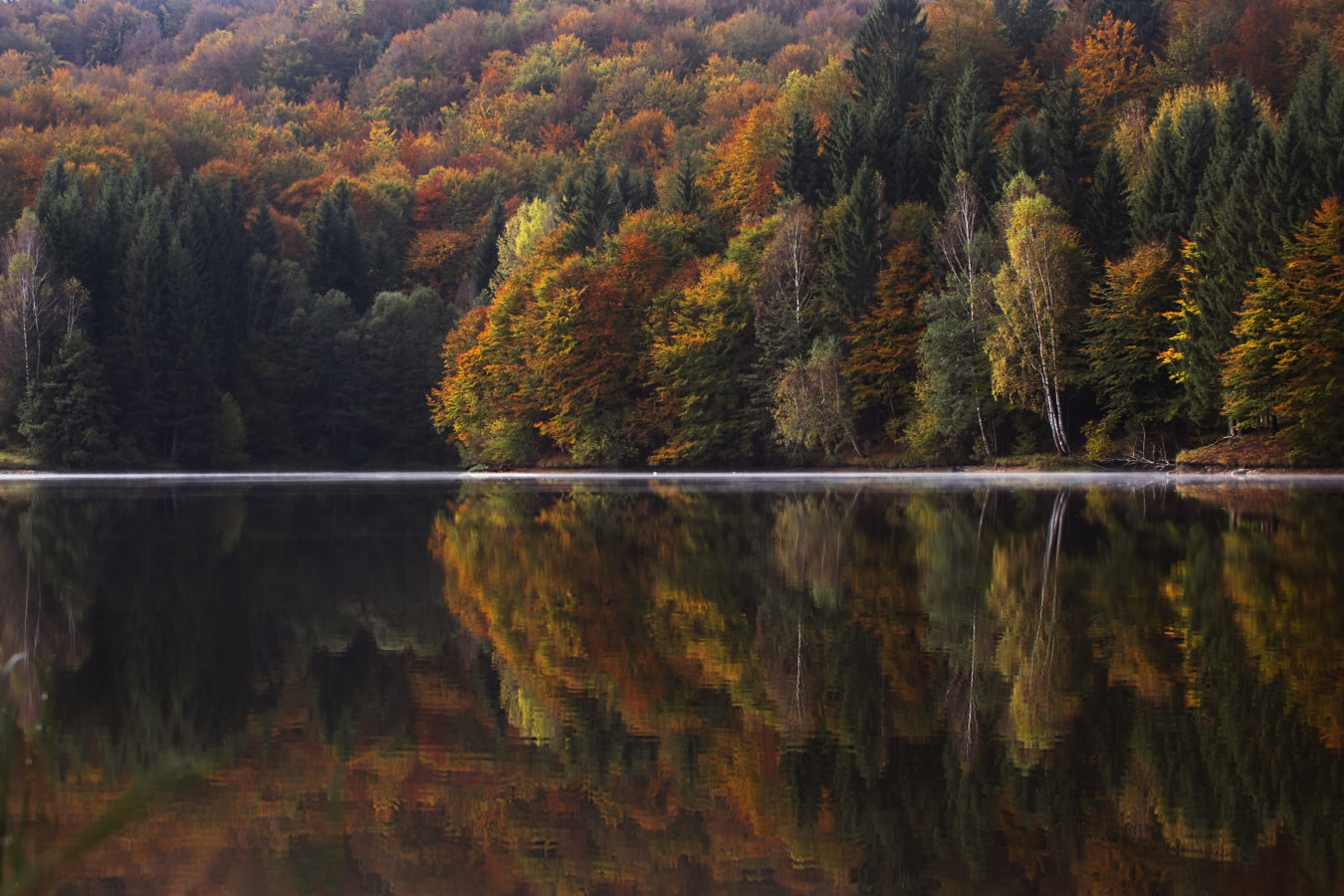 lake-in-fall-with-changing-leaves