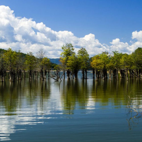 Boone Lake Carefree Boat Club of Tennessee