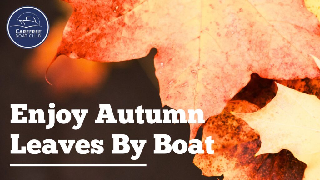 A Scenic Fall Adventure: Enjoying Vibrant Autumn Leaves by Boat in ...